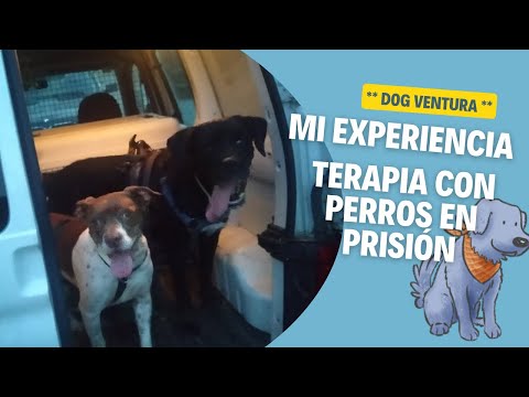 Mi experiencia en Terapia Asistida con Animales en prisión (TAA)