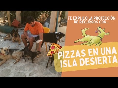 Mi perro me GRUÑE con la COMIDA