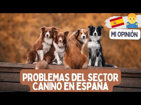 Problemas del SECTOR CANINO en España 😵‍💫 (Opinión y análisis personal)