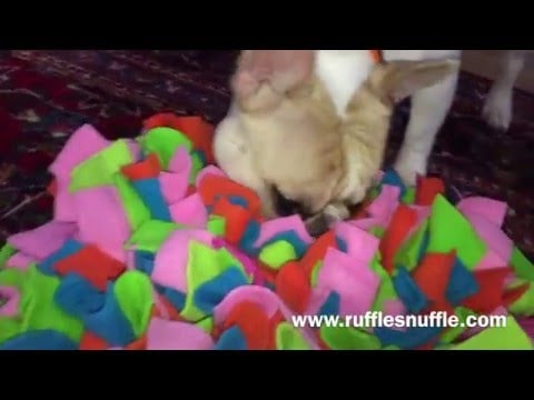 What is a snuffle mat?