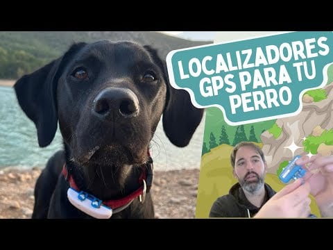 Localizador GPS para tu PERRO - ¿VALE LA PENA?