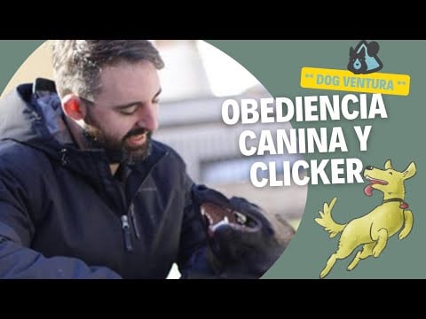 Obediencia canina - Clicker Training & Básicos