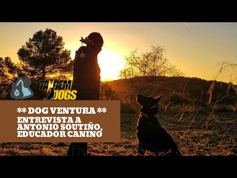 Entrevistas por WhatsApp - 1 - Antonio Soutiño, educador canino