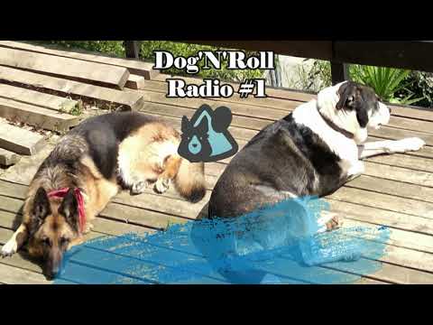 Dog'N'Roll Radio #1   Golpes de calor