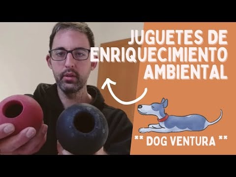 ¿Cuántos juguetes de enriquecimiento ambiental para perros conoces?