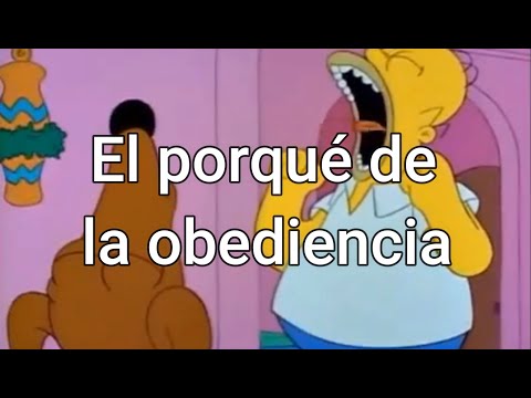 El porqué de la obediencia canina