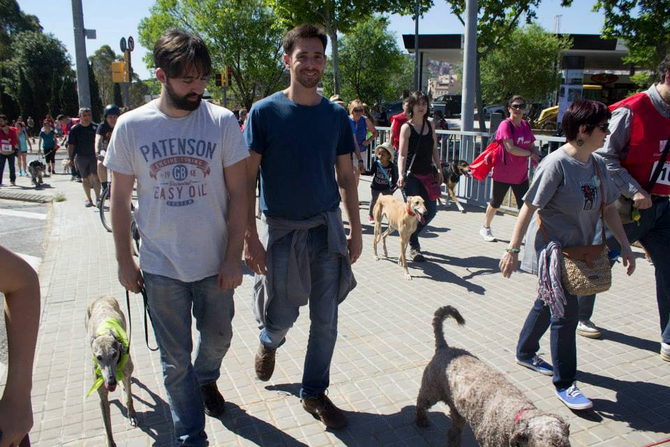 Cómo aprenden los perros, paseo en calle