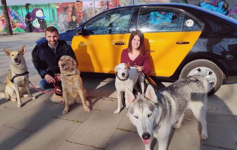 Aida y Jose de Mascotaxi BCN rodeados de perros