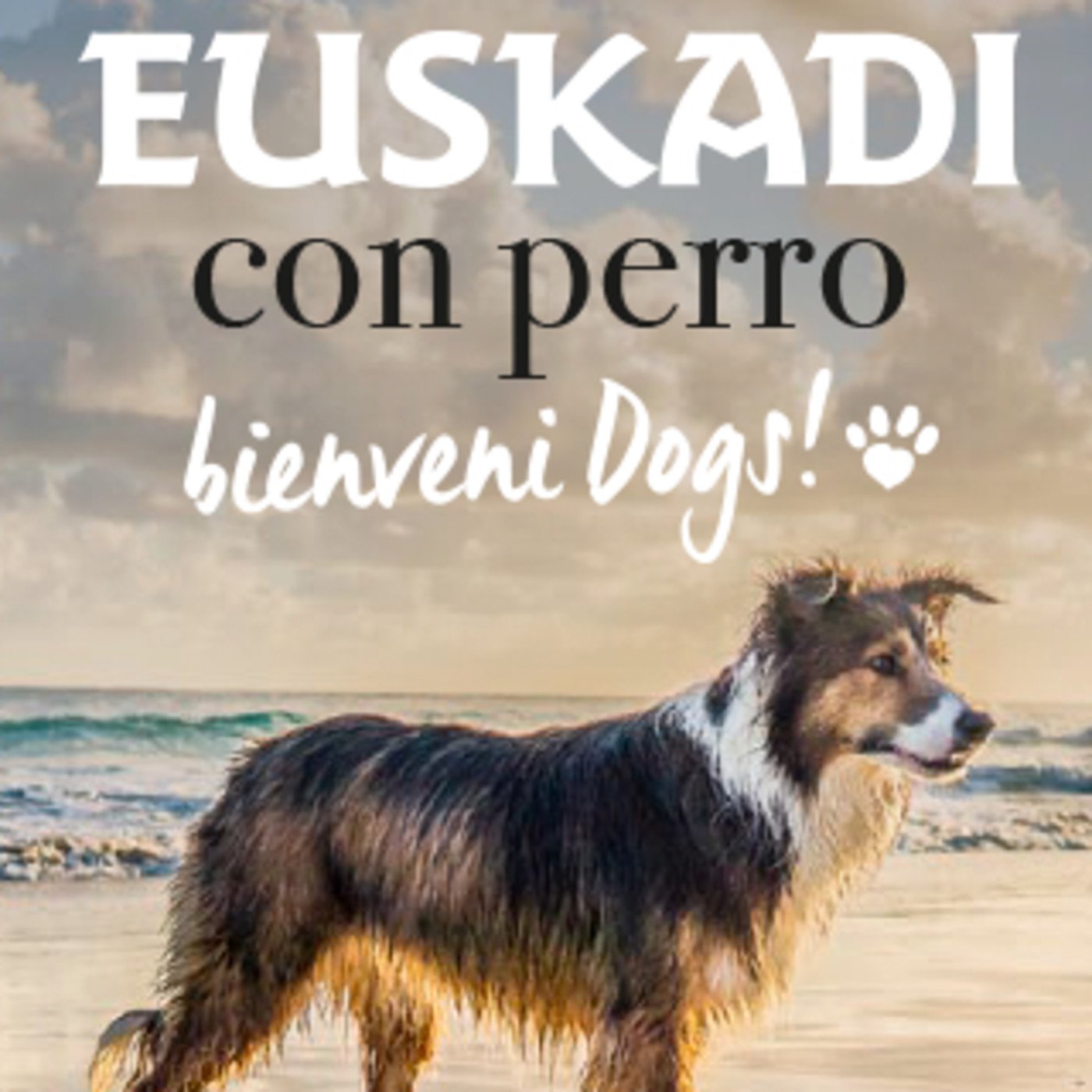 bienvenidogs-euskadi