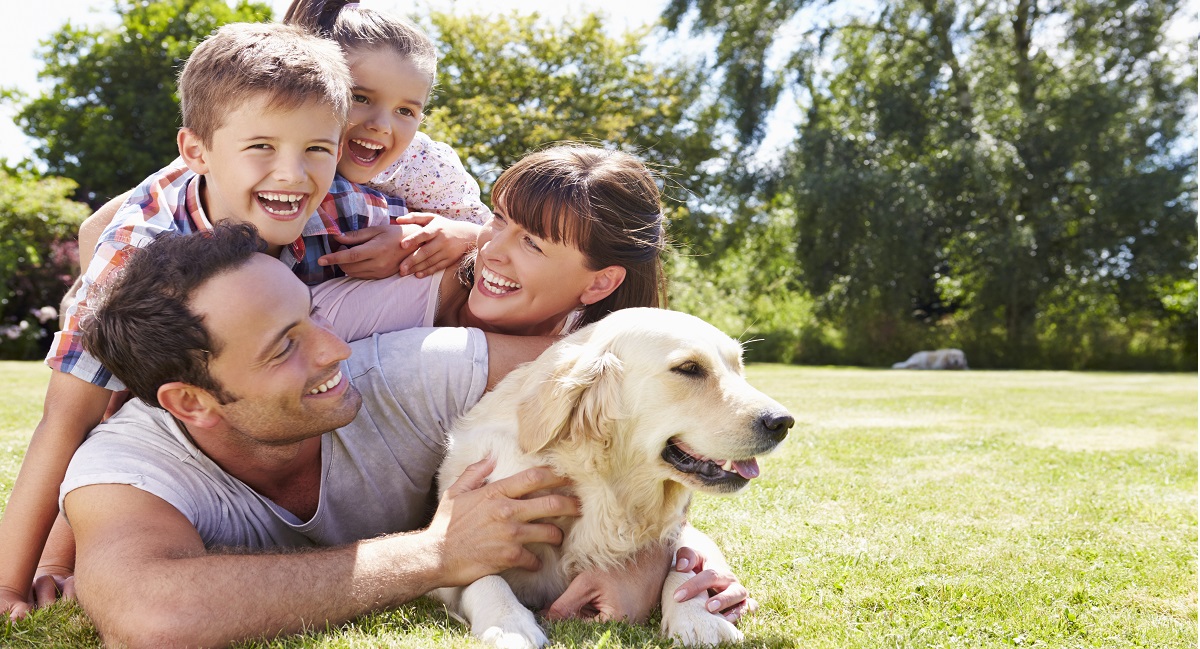 Dónde dejar a tu perro en vacaciones - post 1