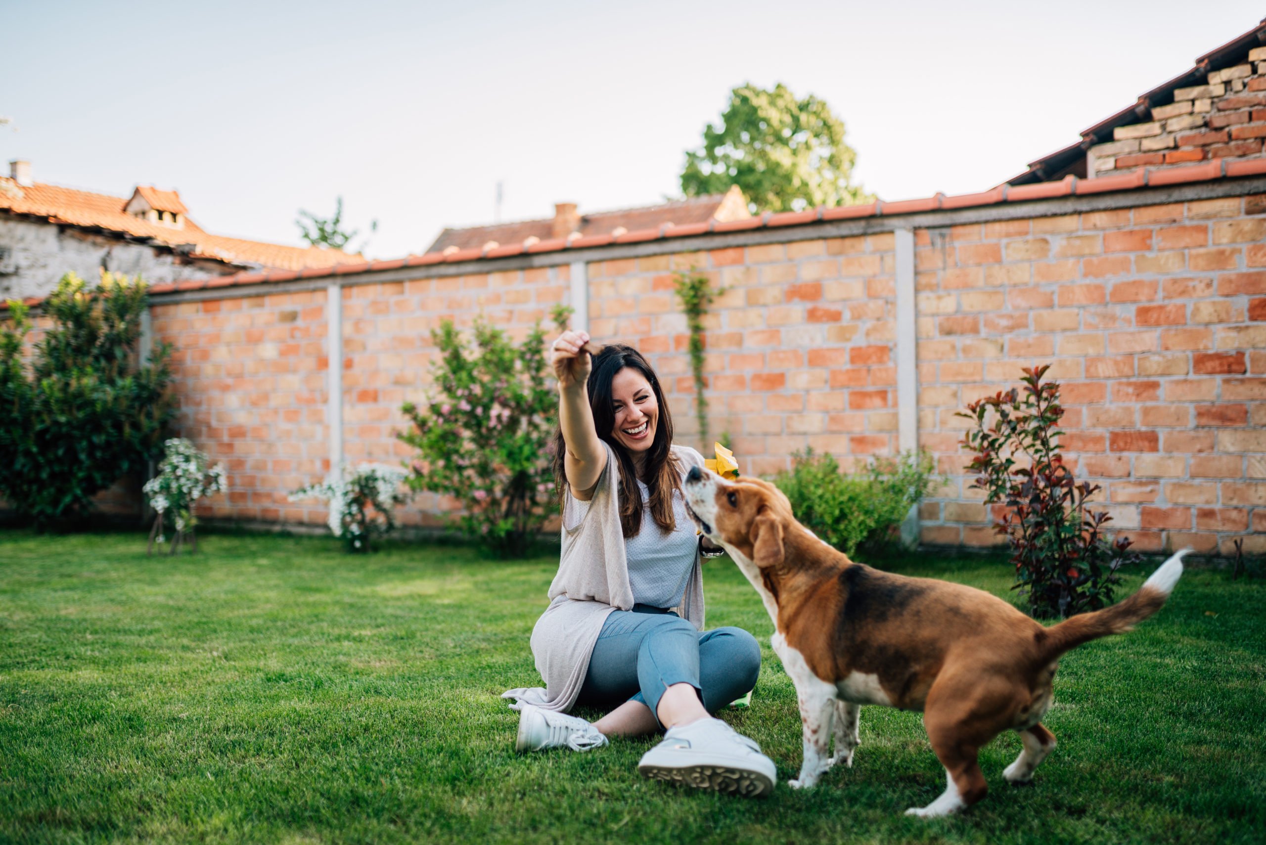 Chica jugando con su perro en el jardín para fortalecer el vínculo