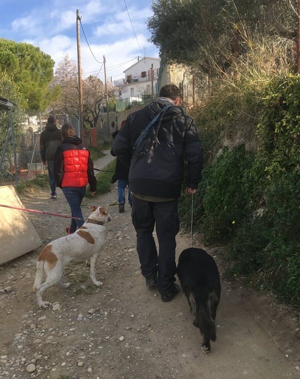 javier, paseo de perros modificación conducta