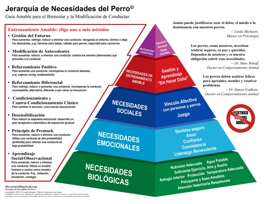 Jerarquía de necesidades de los perros (Maslow canino)