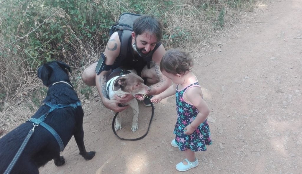 Obediencia canina funcional - Aplicada a la vida diaria (con perros y niños)