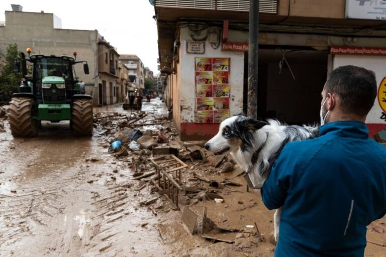 Cambio climático - Perro DANA Valencia