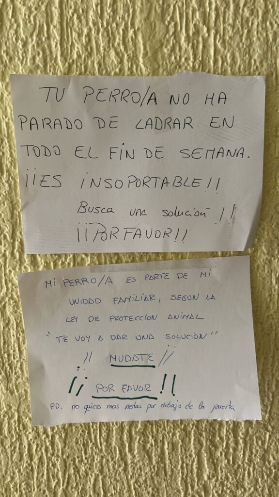 Perro que ladra todo el día - ¿Qué hacemos? El viral de Threads