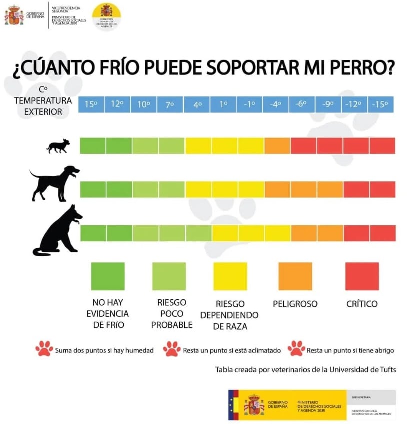 Cuánto frío sienten los perros - Tabla - Mi perro debería llevar abrigo, post